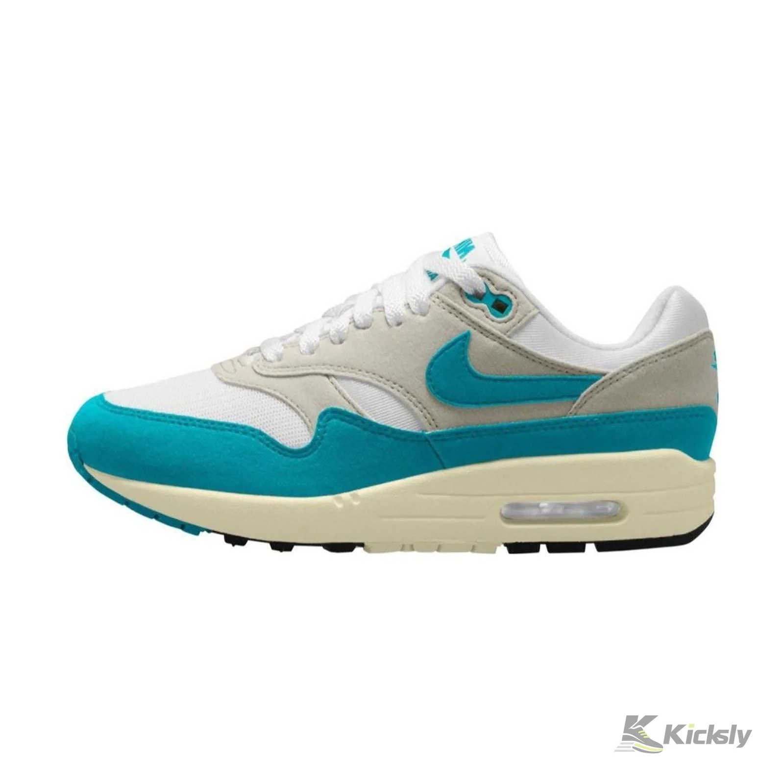 Nike Air Max 1 Dusty Cactus (W)