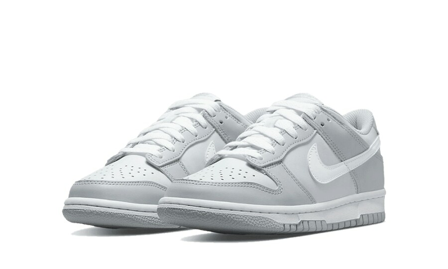 Nike Dunk Low "Two Toned Grey" (GS) 2