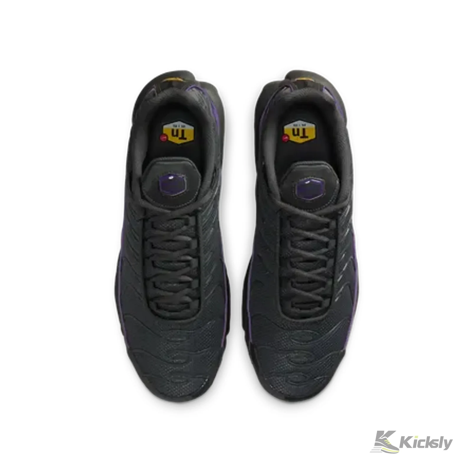 Nike Air Max Plus OG Iron Grey Wild Grape 2