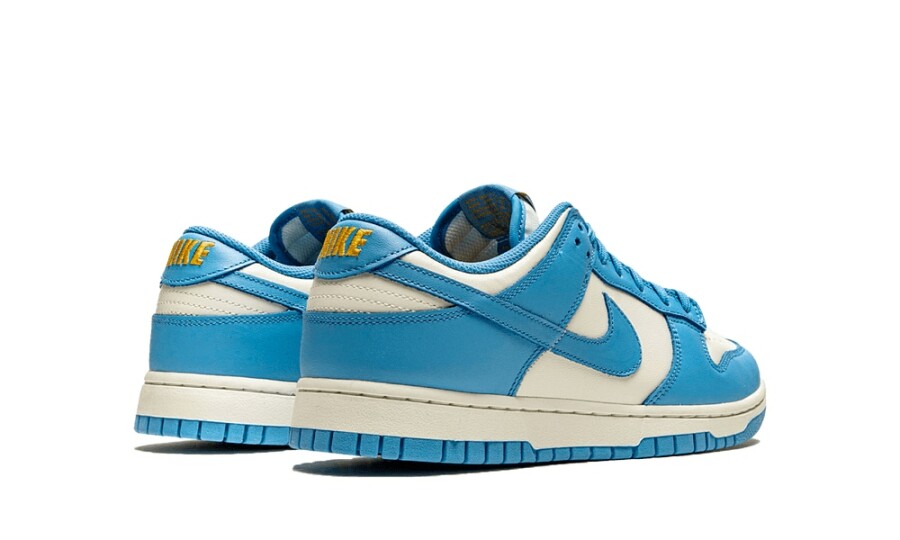Nike Dunk Low Coast (W) 3
