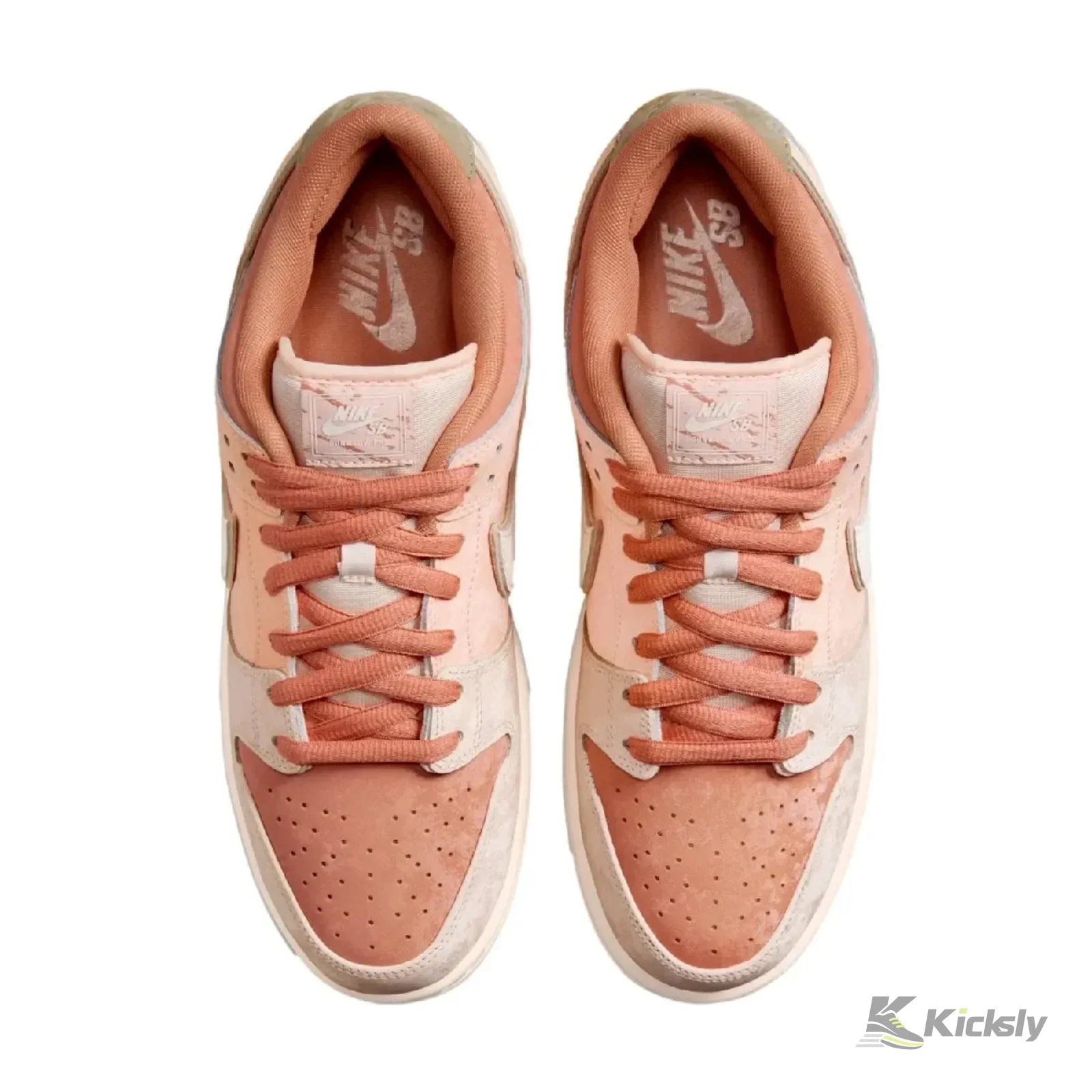 Nike Dunk Low SB Trocadéro Gardens 3