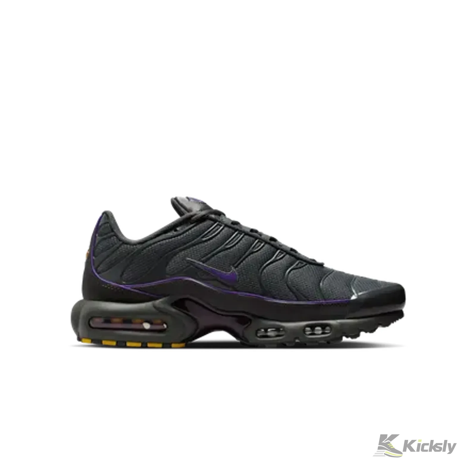 Nike Air Max Plus OG Iron Grey Wild Grape 3