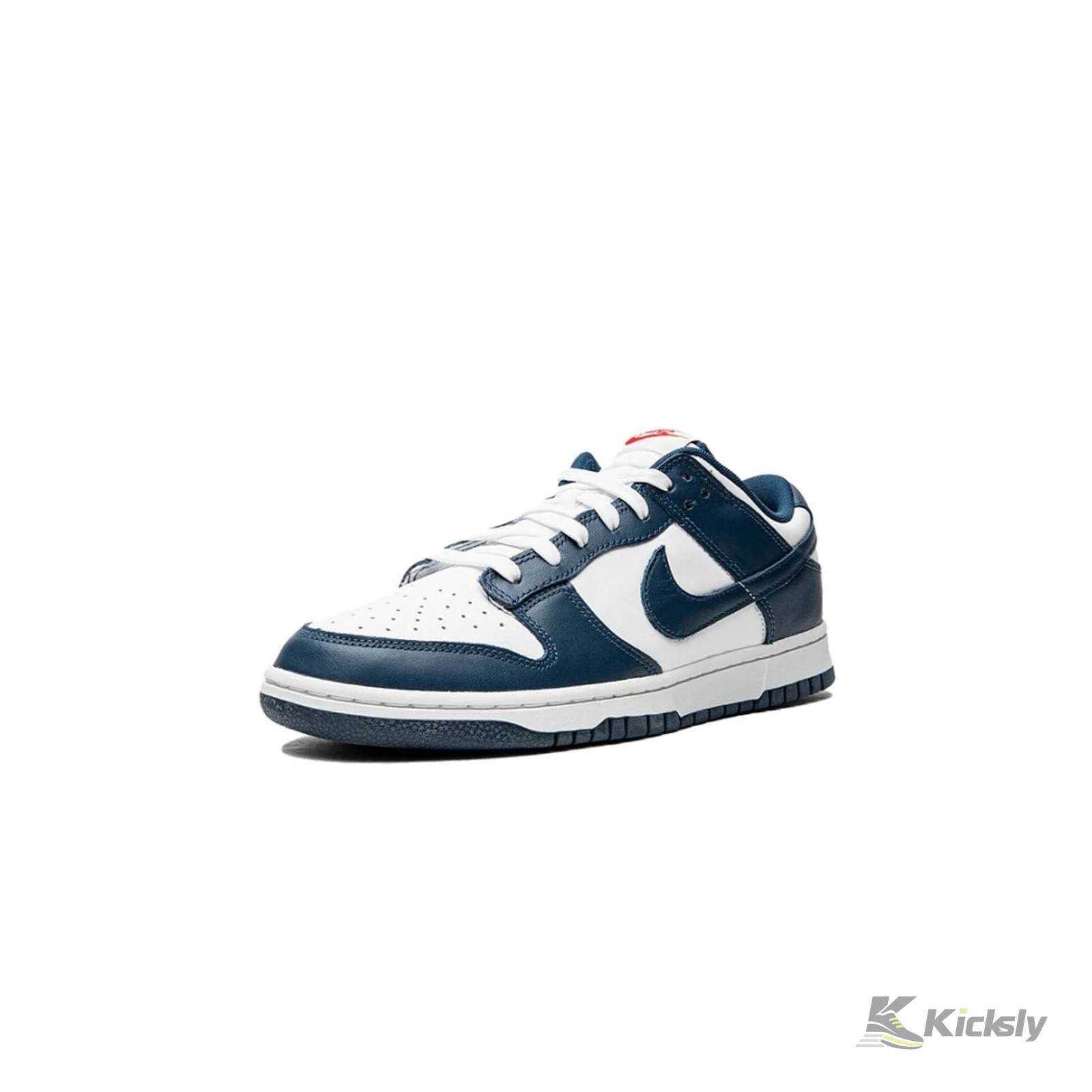 Nike Dunk Low "Valerian Blue" 4